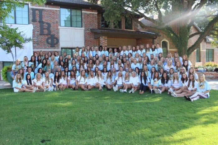 Pi beta phi new member test