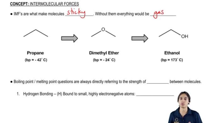 Sticky molecules gizmo answer key