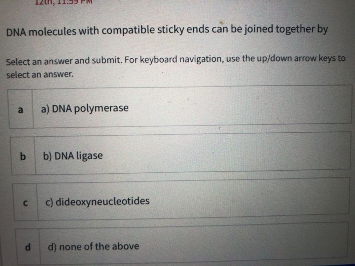 Sticky molecules gizmo answer key