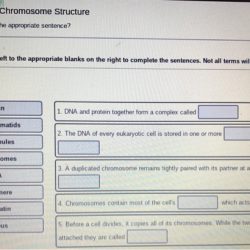 Sentences blanks right reset incorrect tell