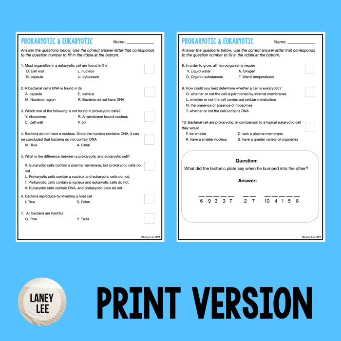 Prokaryotic and eukaryotic worksheet answer key