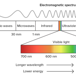 Rank basis electromagnetic vacuum waves speed these their answer