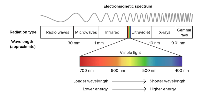 Rank basis electromagnetic vacuum waves speed these their answer