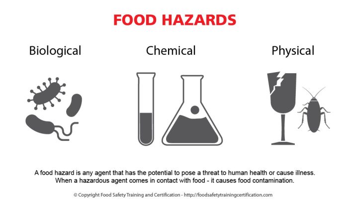 How can you prevent physical hazards food handlers