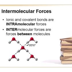 Polarity and intermolecular forces gizmo assessment answers