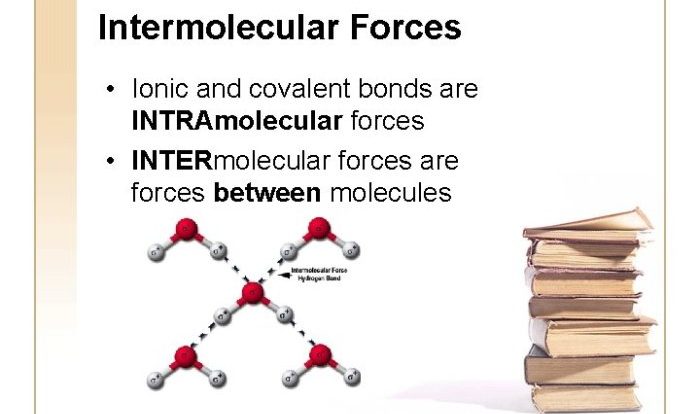 Polarity and intermolecular forces gizmo assessment answers